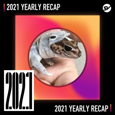 2021 個人年度精選之最
