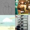 simple life2018