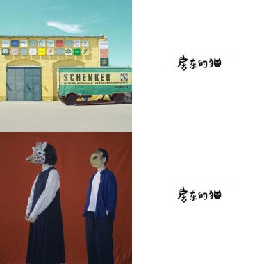 房東的貓