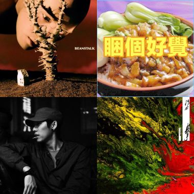 我懂你的奇奇怪怪