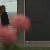 纽约客