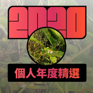 2020 專屬年度回顧 | StreetVoice 街聲