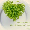 心情深刻、感性、抒情的讚美歌