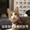 為我愛的女孩獻上祝福