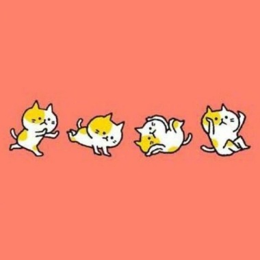 My Playlist