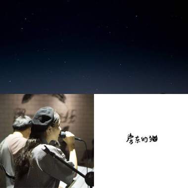 房東的貓