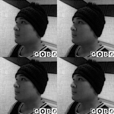 GoBo