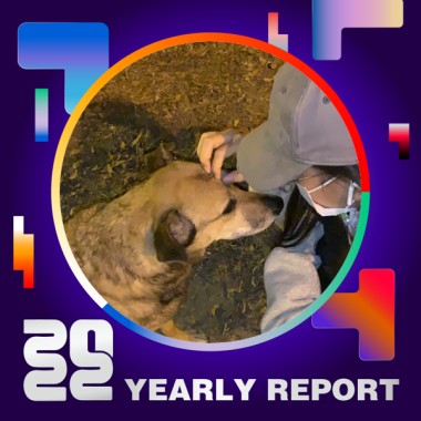 2022 個人年度精選