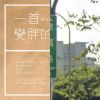 歌單