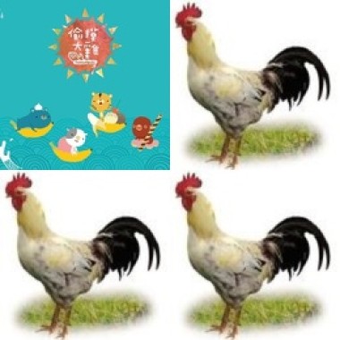 偷摸大雞樂團