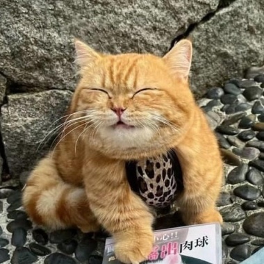 凸(・ω・凸)