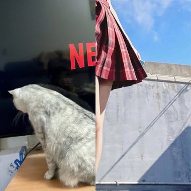 好歌