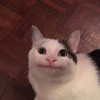 就醬