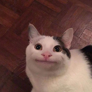 就醬