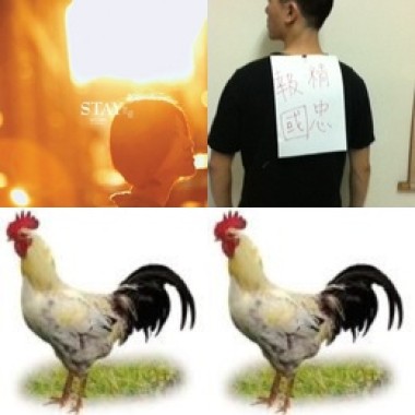 讚的(!)
