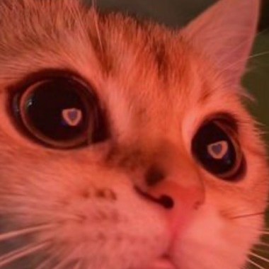 Jinbo