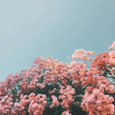 ♡