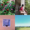 洪安妮