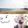 純音樂