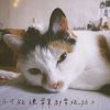 好聽的歌