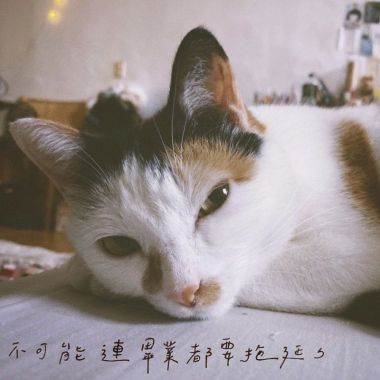 好聽的歌