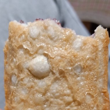 携带者