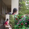 洪安妮，好好聽