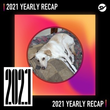 2021 個人年度精選之最