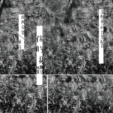 南西肯恩