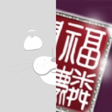 我的歌单