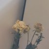 后摇