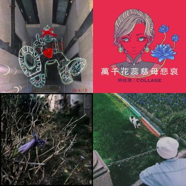 一个歌单