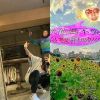 小紅粉#10