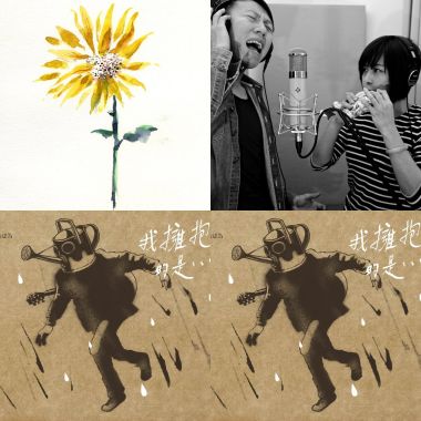 太陽花