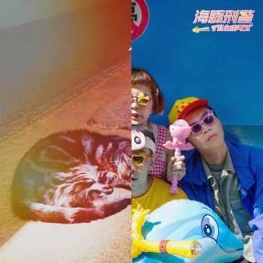 我的歌單 
