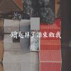 我的歌单