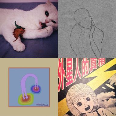棉花區