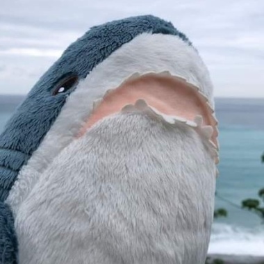 （⁎⁍̴̛ᴗ⁍̴̛⁎)