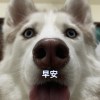 (˶‾᷄ ⁻̫ ‾᷅˵)
