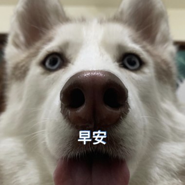 (˶‾᷄ ⁻̫ ‾᷅˵)