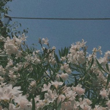♡