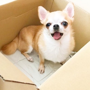 我聽