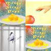 Mango street papa