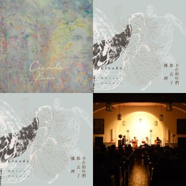 我的歌單  0