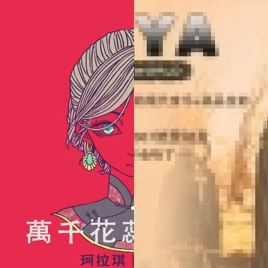 三脚猫尤里