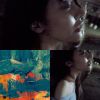 我的歌單