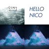 Hello Nico
