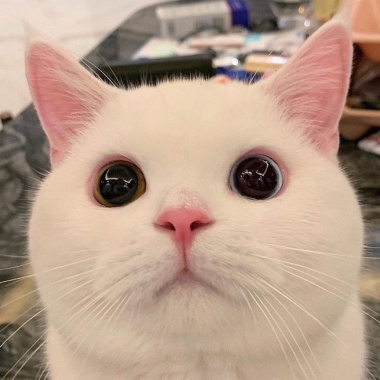 ㄍㄨㄚˊ