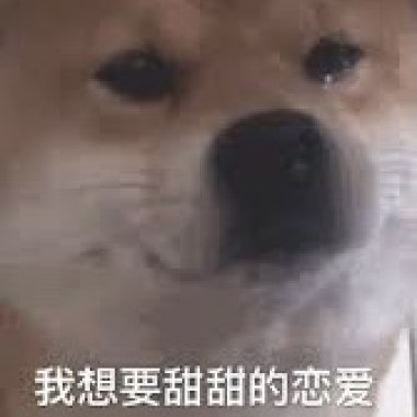 同是天涯暈船仔