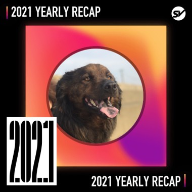 2021 個人年度精選之最